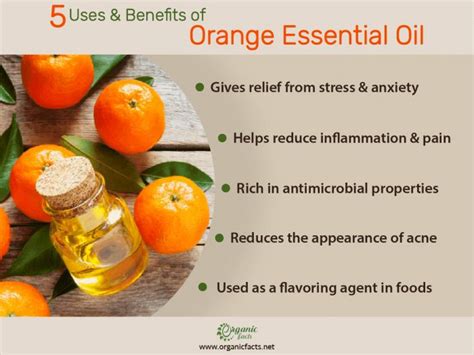 Orange Essential Oil And Mood Benefits Orange Essential Oil And Mood Benefits