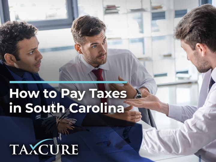 Pay Car Taxes South Carolina