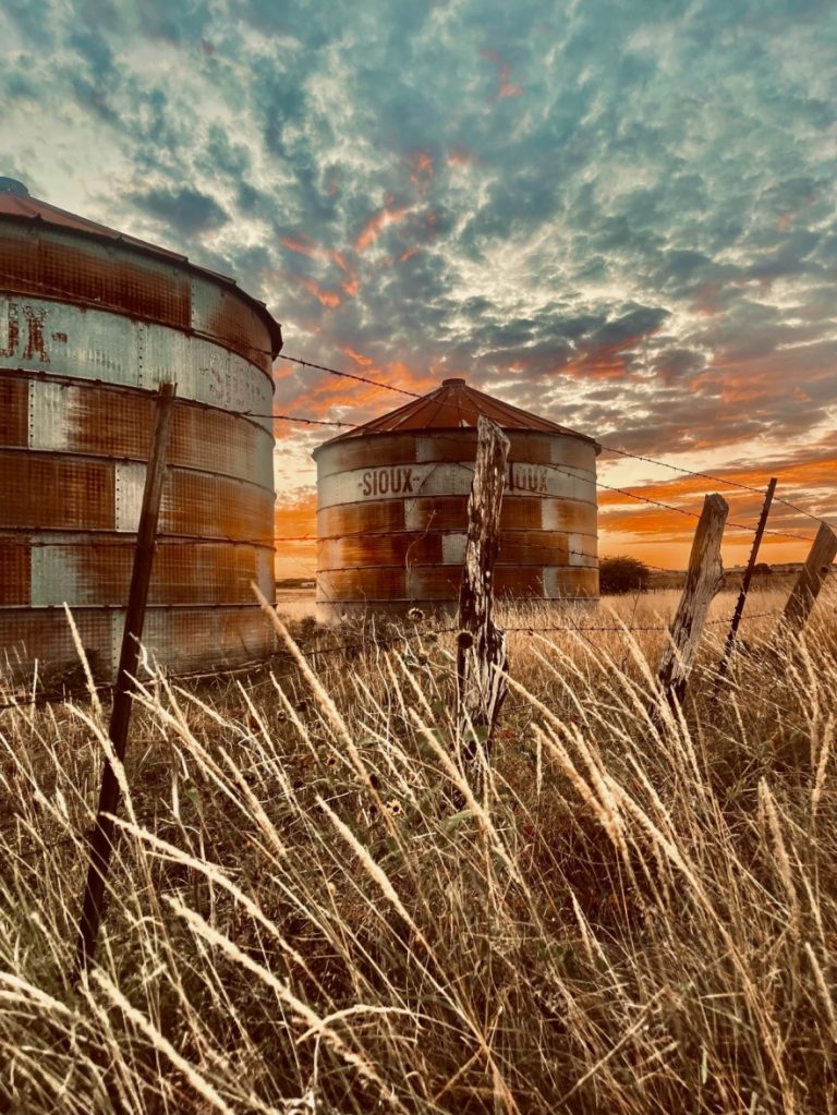 Pay Your Property Taxes Online Pay Your Property Taxes Online