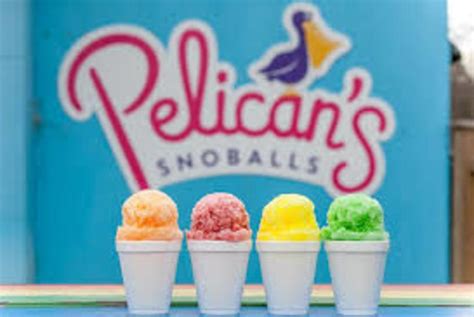 Top Ways to Spot Pelicans Near Me: Expert Guide to Local Bird Watching