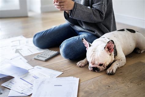 Pet Tax Deductions 2025
