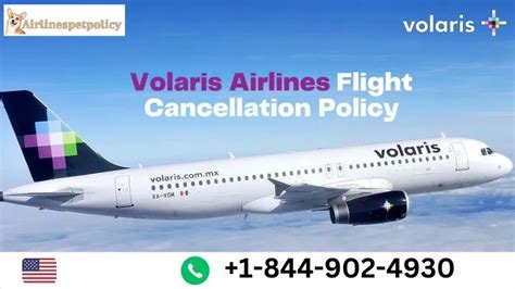 Ppt Volaris Airlines Flight Cancellation Policy Powerpoint Presentation Id 12277949 Ppt Volaris Airlines Flight Cancellation Policy Powerpoint Presentation Id 12277949