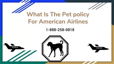 Ppt What Is The Pet Policy For American Airlines 1 888 258 0818 Powerpoint Presentation Id