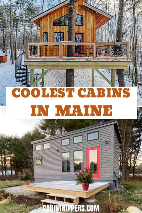 Que Significa Main Cabin At Lois Horning Blog Que Significa Main Cabin At Lois Horning Blog
