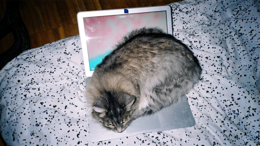 Research The Growing Inequality Of Who Gets To Work From Home