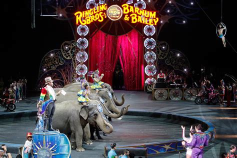 Beginner's Guide to the Amazing World of Ringling and Brothers Circus