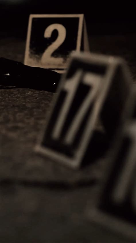 Shattered Serenity Unraveling The Mystery Behind The Tacoma Tragedy On