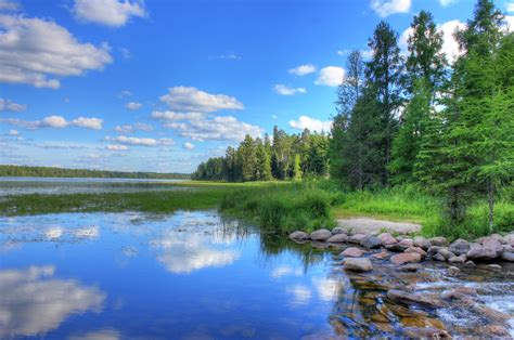 Side View Of The Lake At Lake Itasca State Park Minnesota Image Free Side View Of The Lake At Lake Itasca State Park Minnesota Image Free