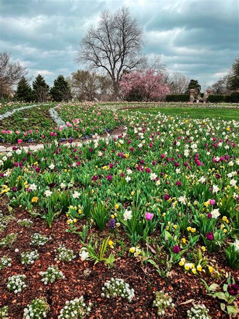 Spring At The Dallas Arboretum Live Love Local