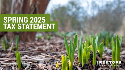 The Future of Spring Tax: Trends and Innovations Shaping Tomorrow