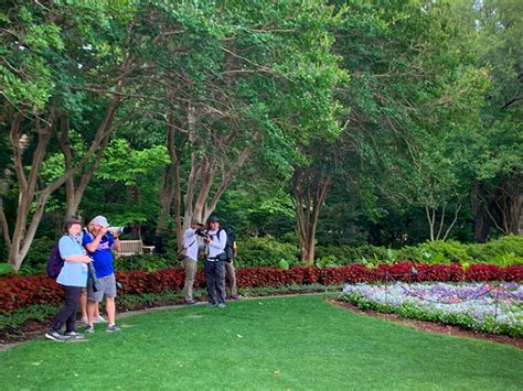 Summertime At The Dallas Arboretum Dfw Urban Wildlife Summertime At The Dallas Arboretum Dfw Urban Wildlife