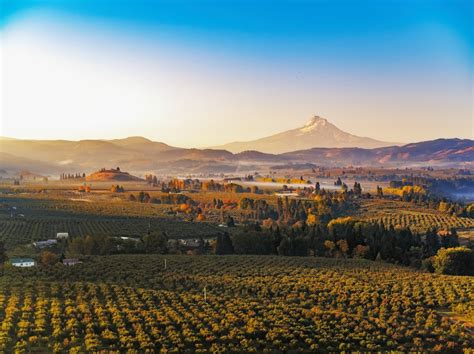 Tax Attorney Eugene Or Estate Tax Relief For Oregon Farmers Tax Attorney Eugene Or Estate Tax Relief For Oregon Farmers