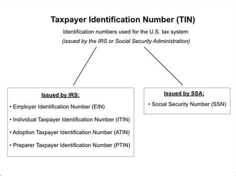 Tax Id Vs Ssn
