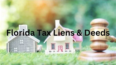 Tax Liens Florida