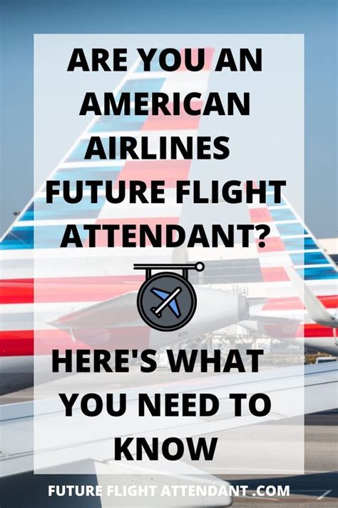 The American Airlines Flight Attendant Hiring Process 2023 What You Need To Know Artofit