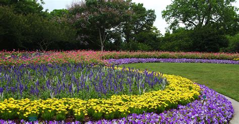 Discover the Magic of the Dallas Arboretum and Botanical Garden