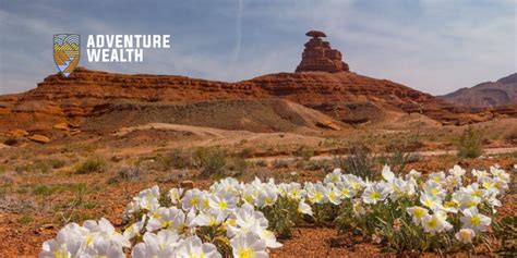 The Problem With Big Iras Rmd Adventure Wealth Advisors