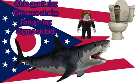 The Skibidi Rizz Gyat Fanum Tax In Ohio Sigma Story Com