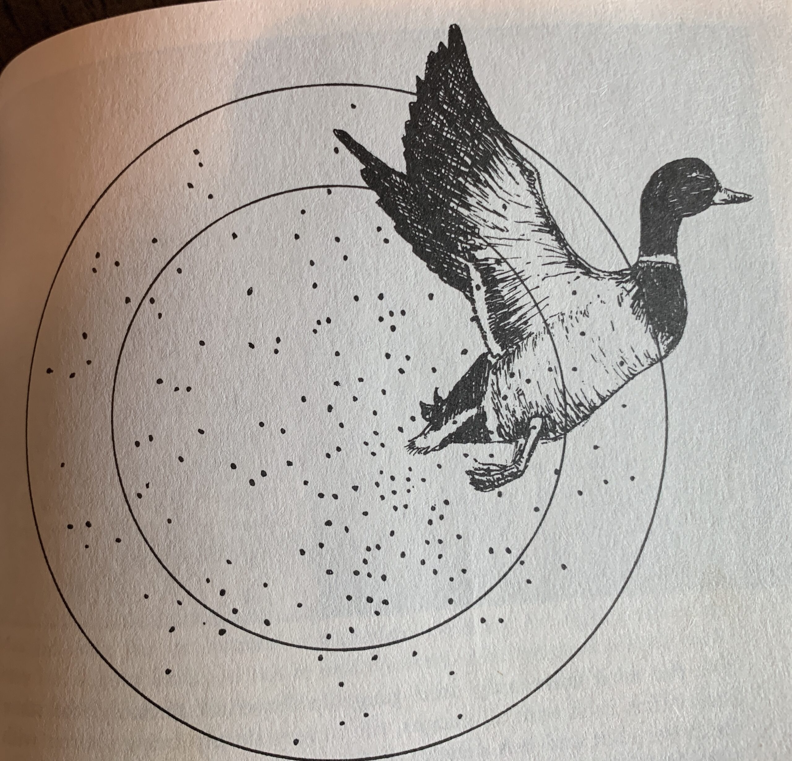 The Truth Behind Shotguns And Shotshell Patterns Outdoor Life