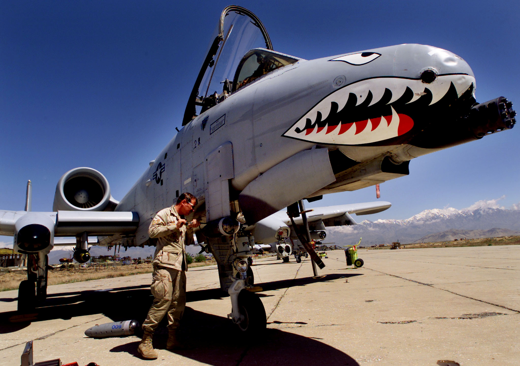 The Warthog And The Senator The Politics Of Retiring A Warplane Reuters