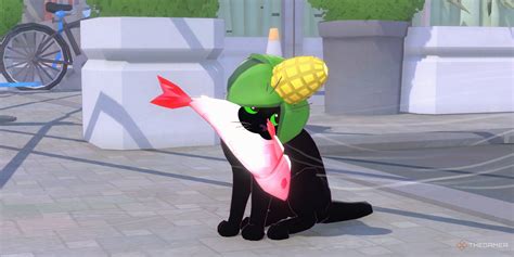 This City Is 3 5 Hours Away From Dallas And The Perfect Escape From The Big City While Still Having City Vibes Have You Been To Visitokc Oklahoma City Is Only A Short Drive Away With So Much To