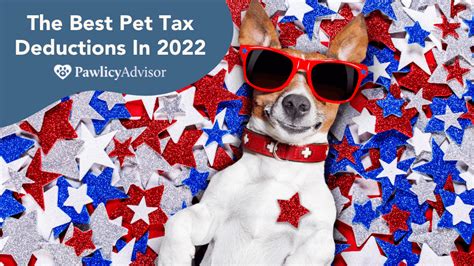Top 5 Tax Deductions For Pet Owners In 2024 Pawlicy Advisor Top 5 Tax Deductions For Pet Owners In 2024 Pawlicy Advisor