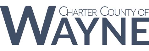 Treasurer Wayne County Michigan