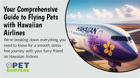 Ultimate Guide To American Airlines Pet Travel Regulations