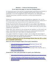 Understanding American Cultural History Self Assessment Course Hero