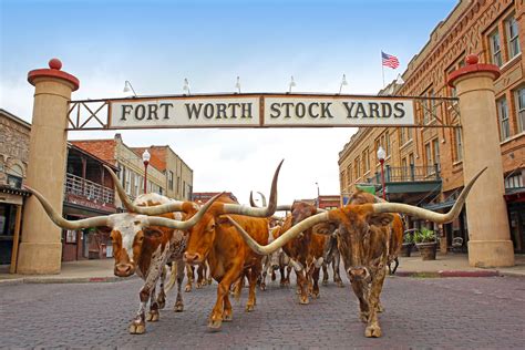Visit The Fort Worth Stockyards Western Life Today