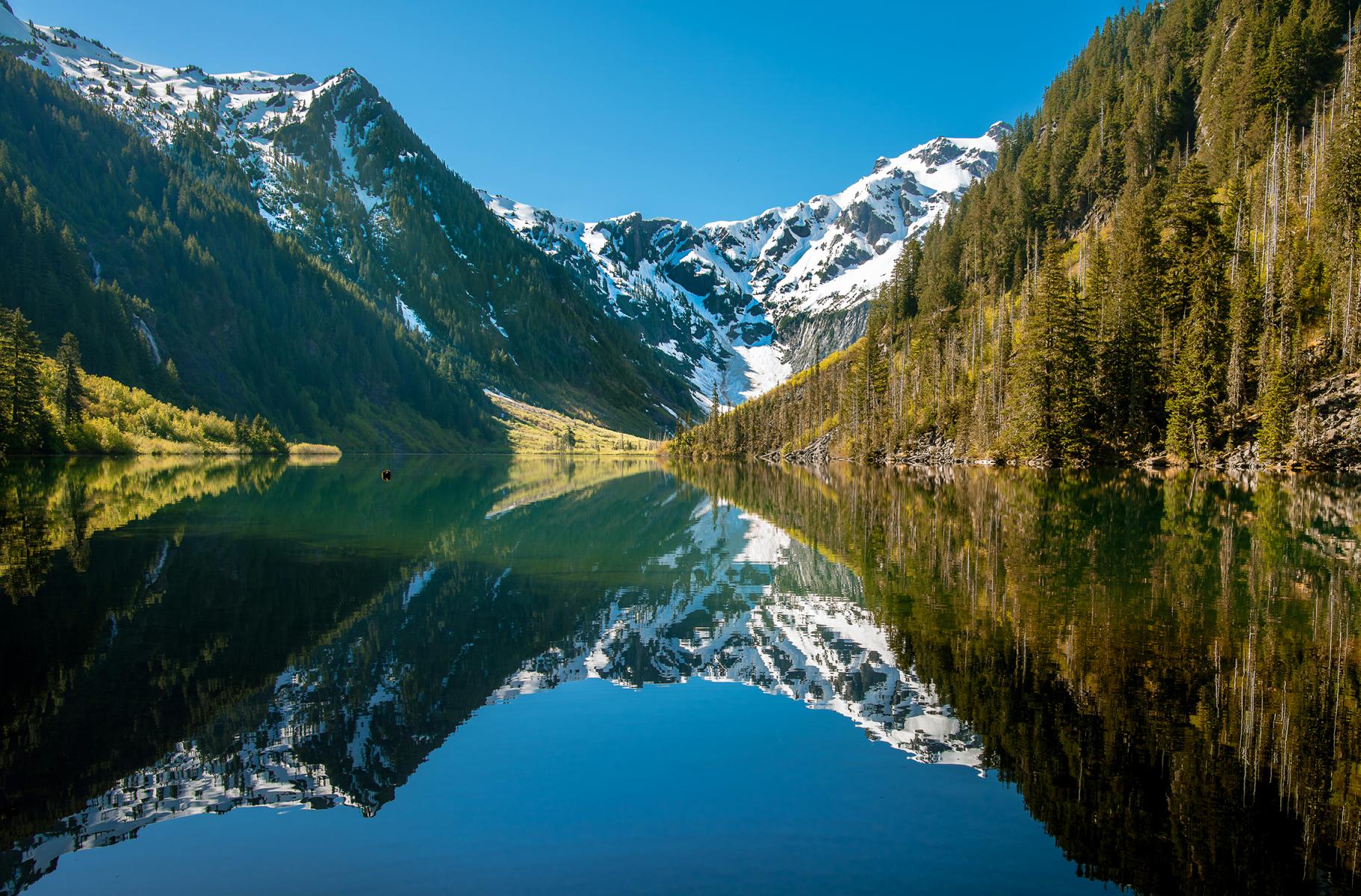 How Can You Easily Use WA Sales Tax Lookup to Determine Tax Rates?