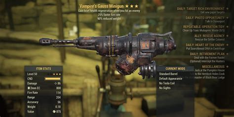 What Do You Guys Think Of The Name On My Gauss Minigun R Fallout