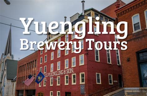 Discover the Rich Heritage of Yuengling Tours and Beer Brewing History