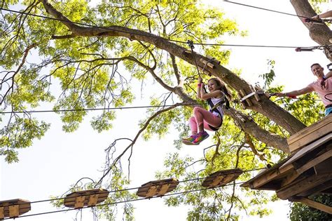 Zip Through The Trees At A High Flying New Adventure Park In Arlington Culturemap Fort Worth